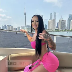 Let me be your distraction fantasies do come true profile image